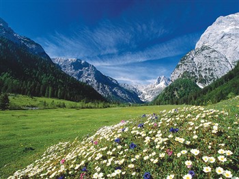 Lakes Mountains Glaciers Austrian Tyrol