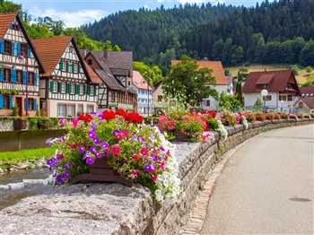 Autumn Colours in the Black Forest