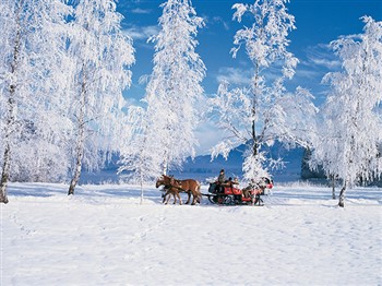 Christmas in Austria 2024