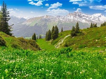 Mountains & Glaciers Tyrol