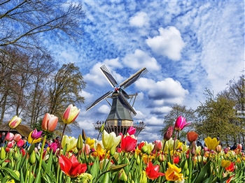 A Taste of old Holland 