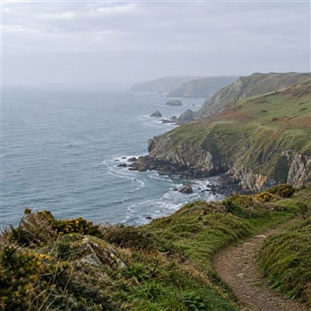 Devon Explorer on The English Riviera 27
